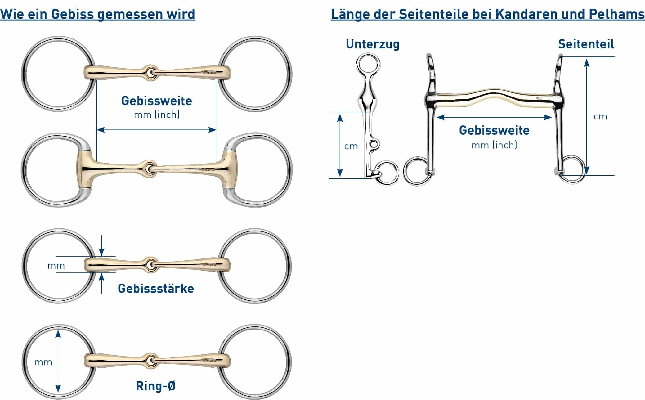 Gebisse für Pferde - Wissenswertes im Überblick